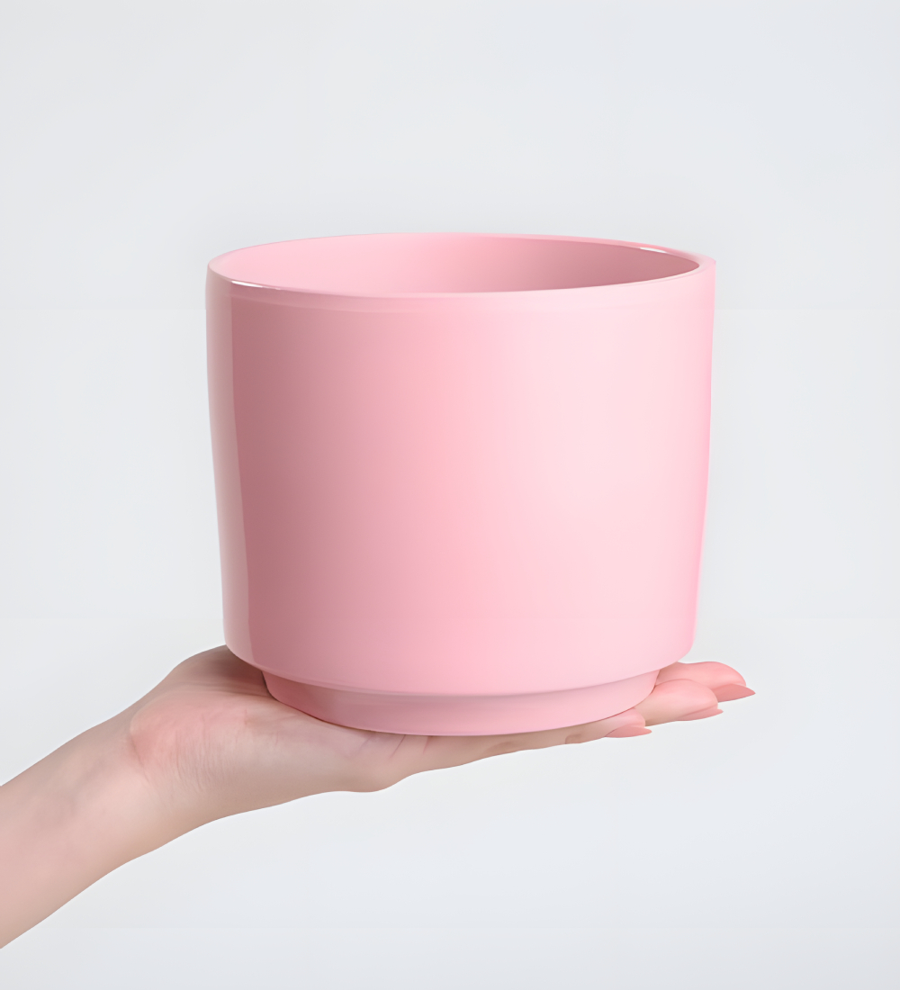 Pembe Beton Saksıda Çiftli Mor Orkide Pembe Beton Saksıda Çiftli Mor Orkide
